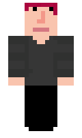 SK1L1 minecraft skin