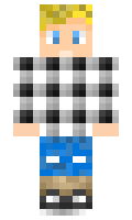 koomi minecraft skin