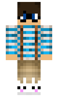 melsbakker minecraft skin