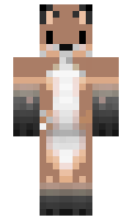 Quiiverr minecraft skin