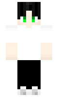 intheopen3166 minecraft skin