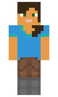 bienkowa minecraft skin