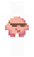 Sashs minecraft skin