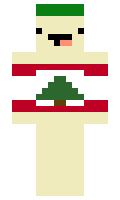 aappen21 minecraft skin