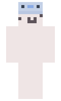 XCRoy minecraft skin