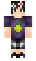 dimych minecraft skin