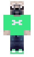 Krazyhorse007 minecraft skin