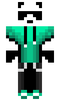 vinylkidd minecraft skin