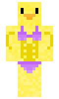 9be530a260676a minecraft skin