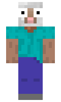 Chile minecraft skin