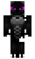 DragonHunter1202 minecraft skin