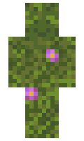 unicornqueensdg minecraft skin