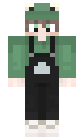 Avi minecraft skin