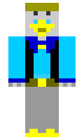 Gildan minecraft skin