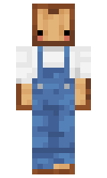 ItsToastCraft minecraft skin