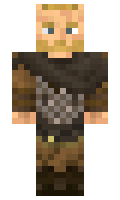 ViPlay minecraft skin