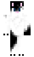pony00pony minecraft skin