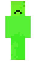 LittleCity minecraft skin