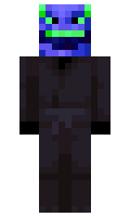 Vakten minecraft skin