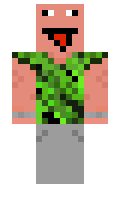 9d135ba63bbde6 minecraft skin