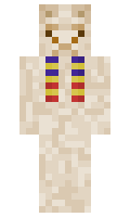 ServerChat minecraft skin