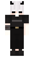 RRq minecraft skin