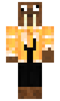 W0lly1 minecraft skin