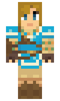 sebredninja minecraft skin
