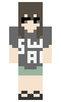 9d590779ed3b4d minecraft skin