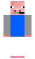 KarlS08 minecraft skin