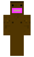 Kopy minecraft skin