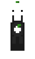 9d84f26ef969e3 minecraft skin