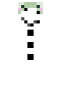 SnowyyFrog minecraft skin