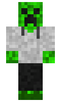 9d973fcdc71b97 minecraft skin