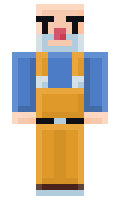WildCards6 minecraft skin