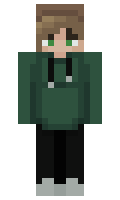 MadMatt0111 minecraft skin