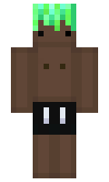 VX4B minecraft skin