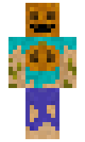 9e69c6194889e2 minecraft skin