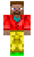 omlm minecraft skin