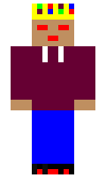 9e6f3c8bf795d2 minecraft skin