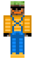 9ea113f620e135 minecraft skin