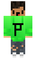 playX24N minecraft skin