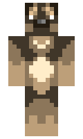 Wido minecraft skin