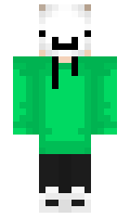 FakeDreamInnit minecraft skin
