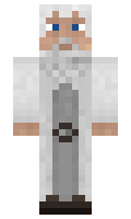 2743 minecraft skin