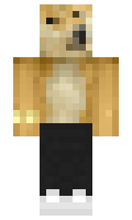 whysk minecraft skin