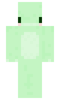 dtte minecraft skin