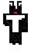 9f101249b72ffa minecraft skin