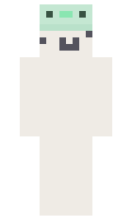 9f214cd957d64d minecraft skin