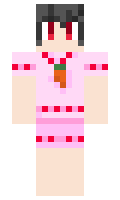 wir minecraft skin